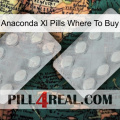Anaconda Xl Pills Where To Buy 17